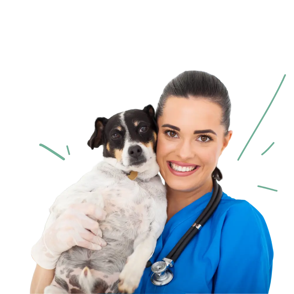 Build your next chapter in pet care.